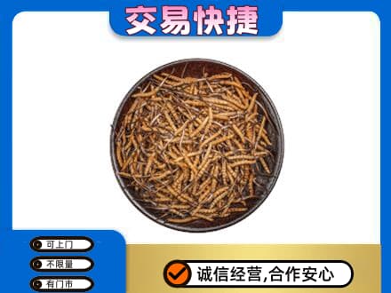 北京海淀区回收散虫草