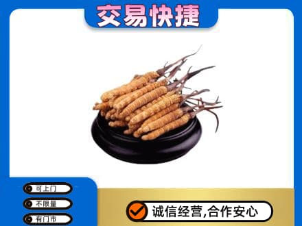 北京海淀区高价回收冬虫夏草多少钱每克